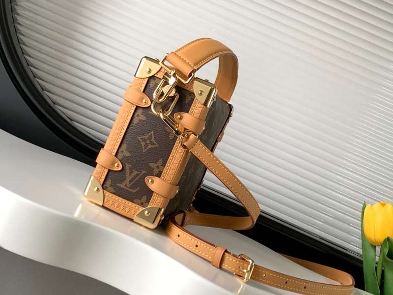 LV Box Bags